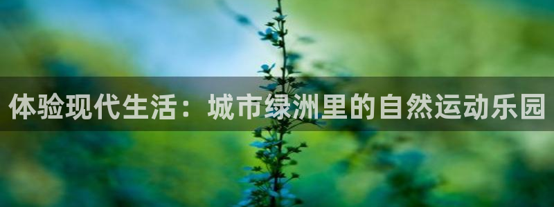 意昂4招商