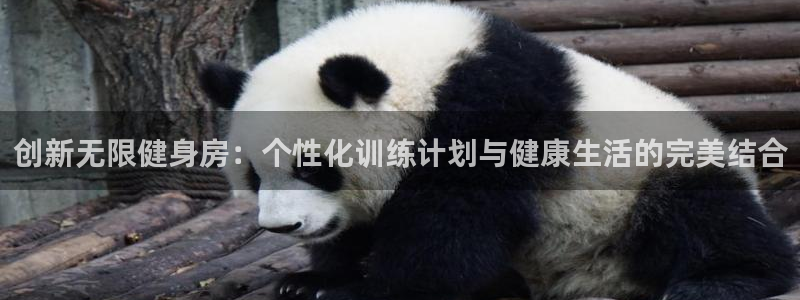 意昂4代理