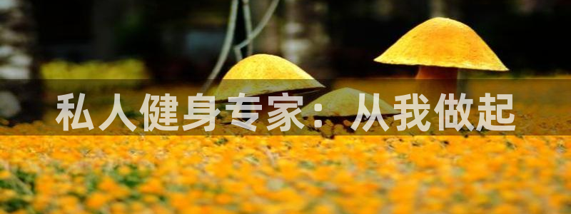 意昂4招商