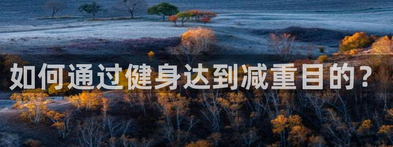 意昂4官方平台