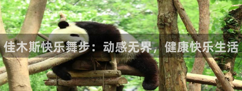 意昂4平台