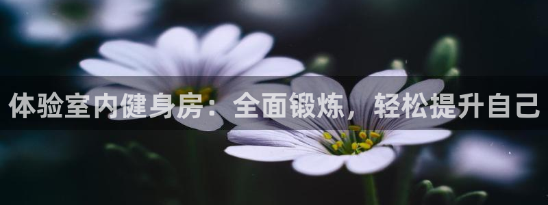 意昂4官网