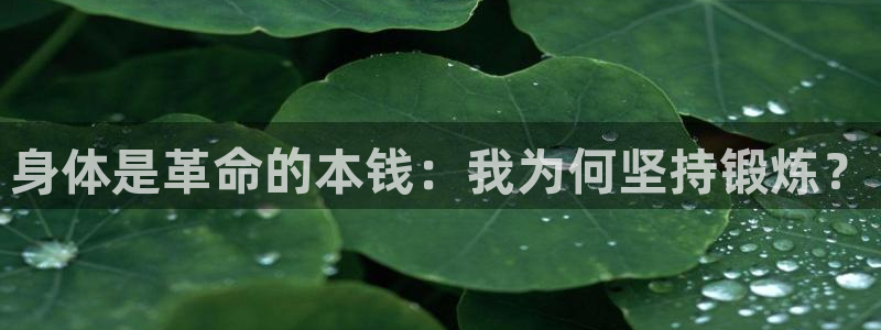意昂4官网