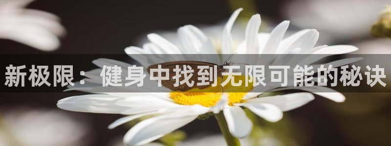 意昂4代理