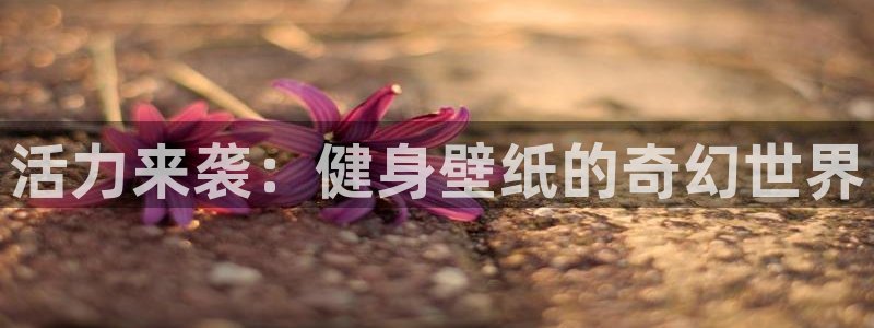 意昂4注册