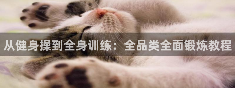 意昂4官网