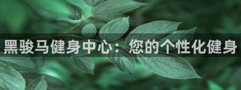 意昂4娱乐